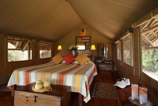 Tortilis Camp